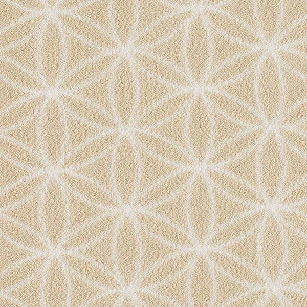 Imagine Lucida Rug