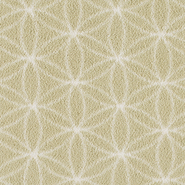 Imagine Lucida Rug