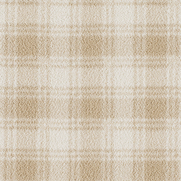 Imagine Hickory Run Rug