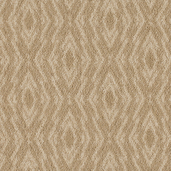 Imagine Pagosa Rug