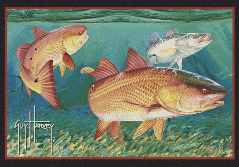 Guy Harvey Redfish Rug