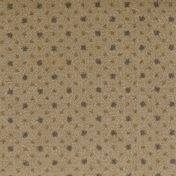 Imagine Viewpoint Rug