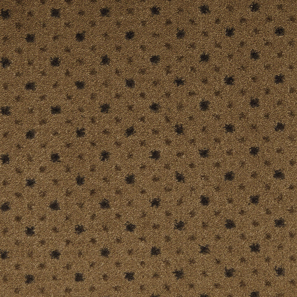 Imagine Viewpoint Rug