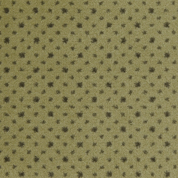 Imagine Viewpoint Rug