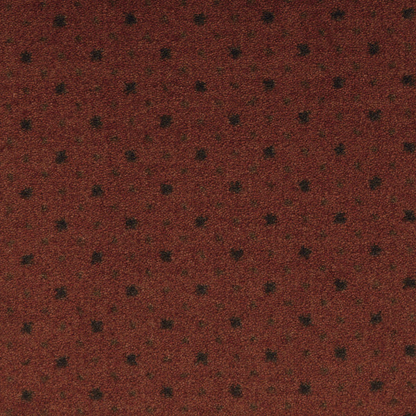 Imagine Viewpoint Rug