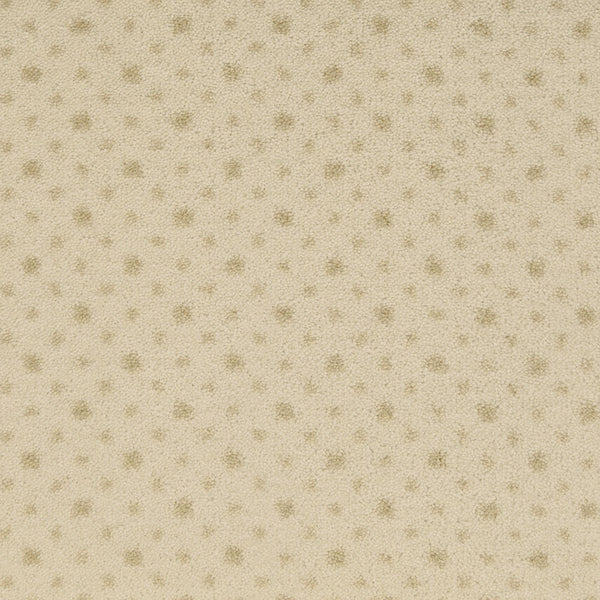 Imagine Viewpoint Rug